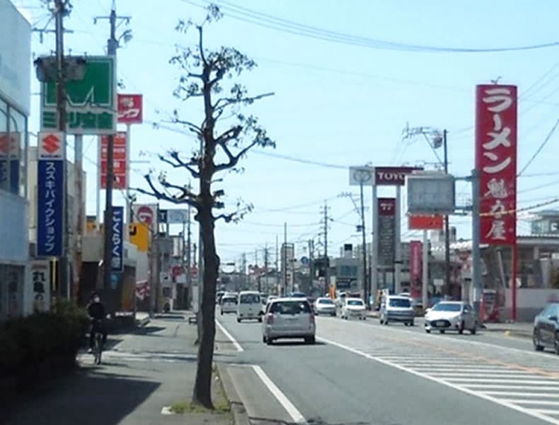 東海道(国道２５７号)を浜名湖方面に向かいます。メガ・ドンキホーテさんなどがある通りです。